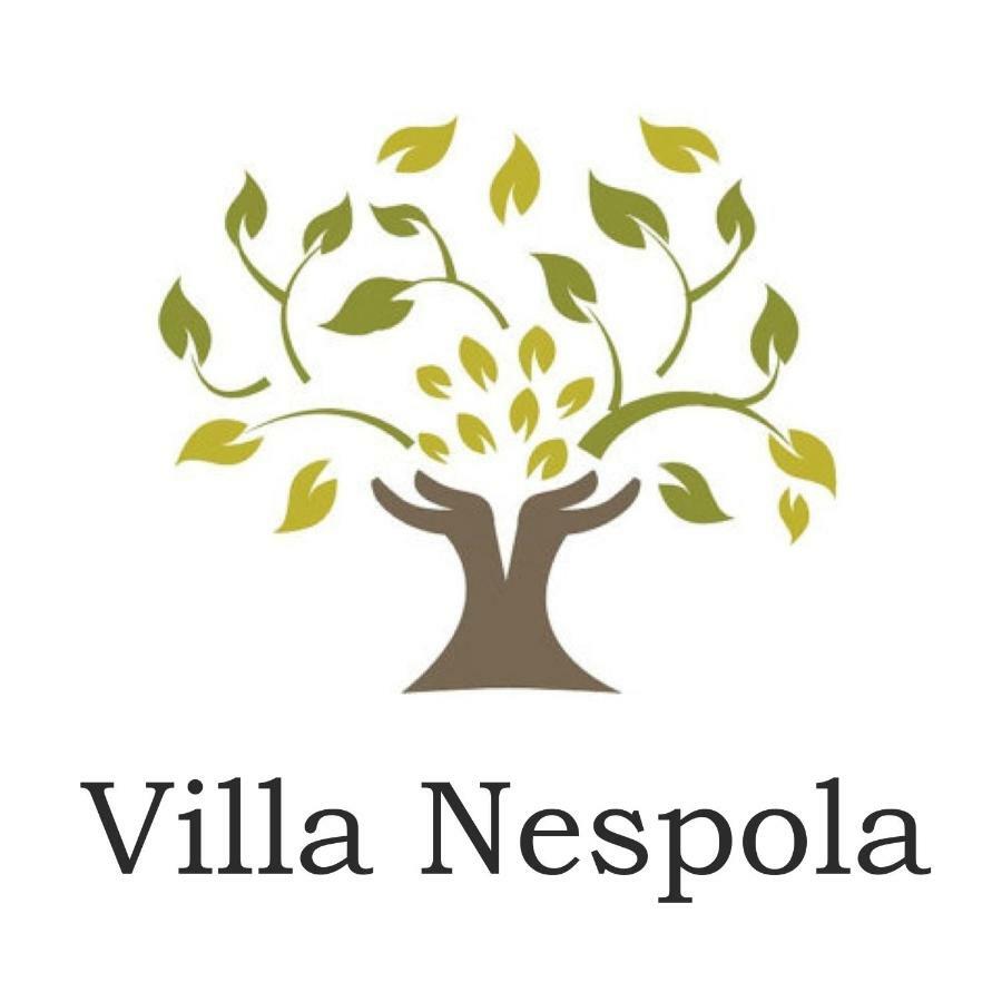 Villa Nespola Cavtat Kültér fotó